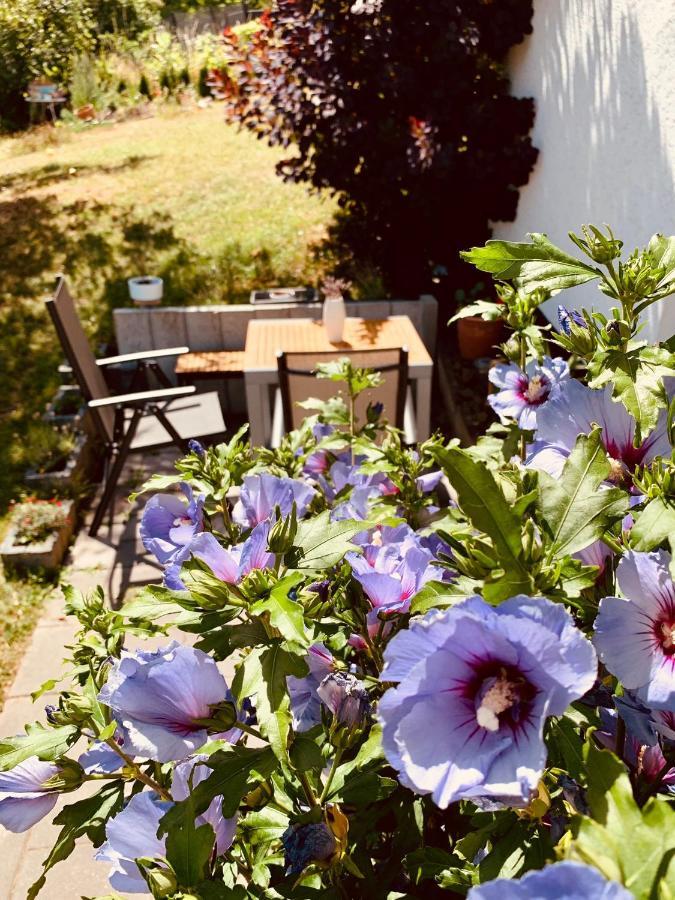 Ferienwohnung „Hygge“ In Liebenburg Ngoại thất bức ảnh